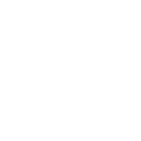 Search Icon